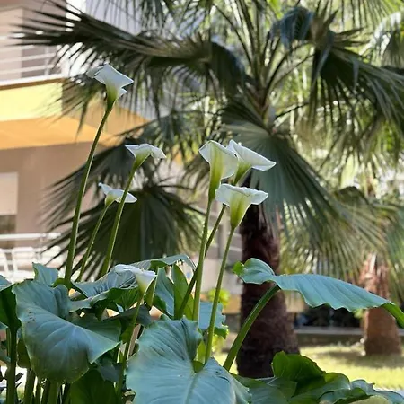 Апартаменты Ermar *