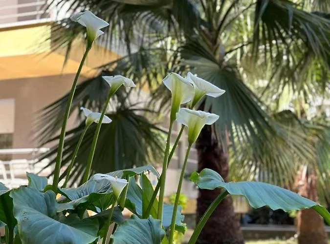 アパート Ermar *